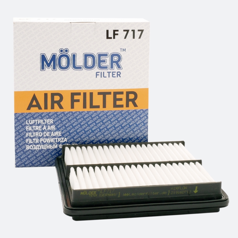 Air filter Molder Filter LF 717 (WA6250, LX827, C2229) image